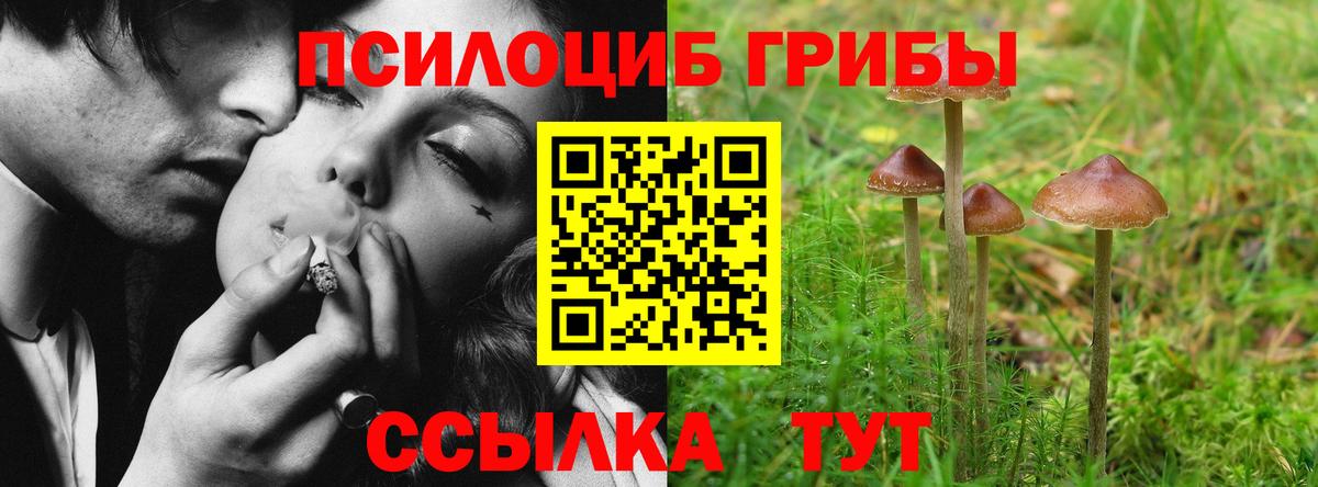 Псилоцибиновые грибы MAGIC MUSHROOMS Нарткала